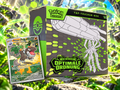 Optimale Ordnung Top Trainer Box