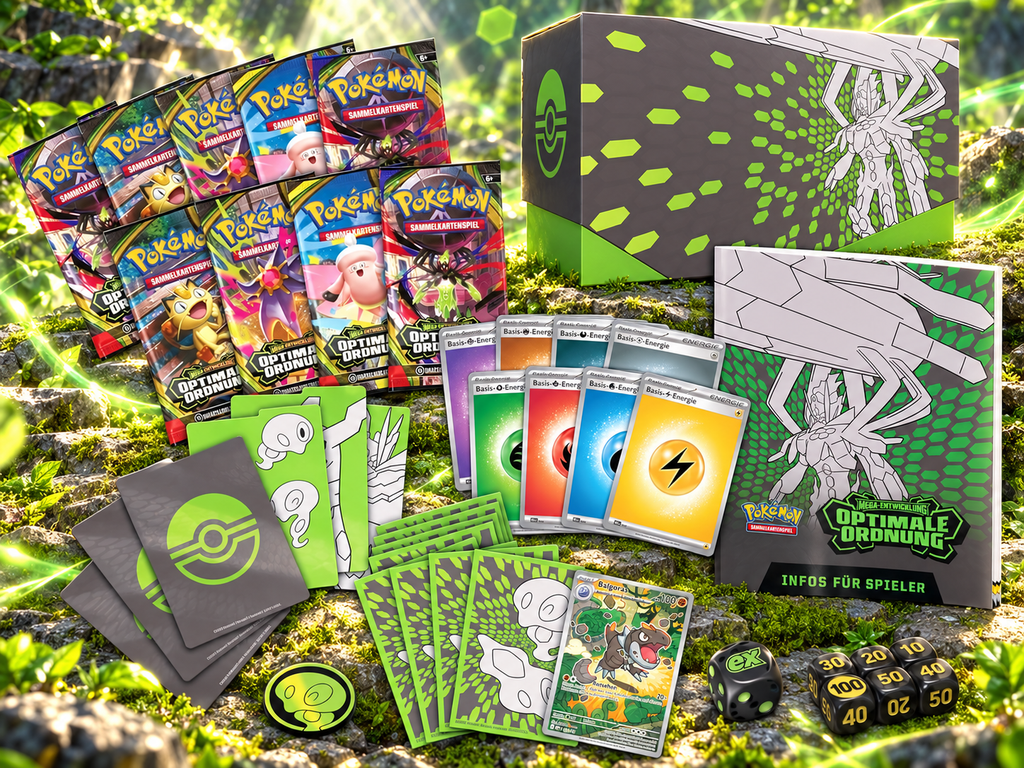 Optimale Ordnung Top Trainer Box