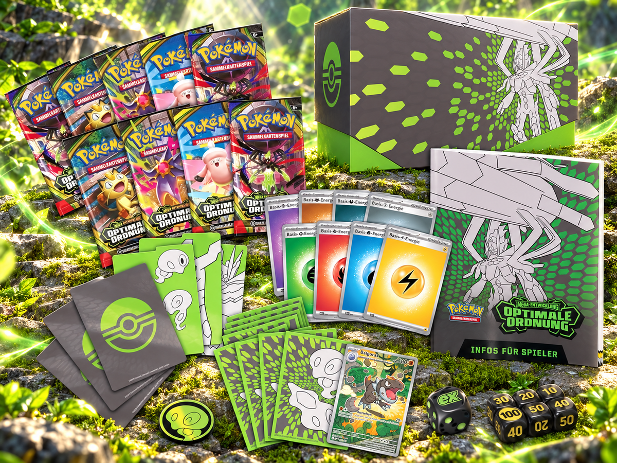 Optimale Ordnung Top Trainer Box